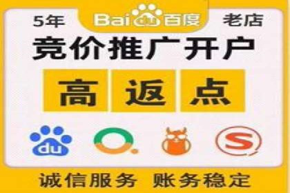 案例研究：百度推广托管助力电商品牌快速崛起